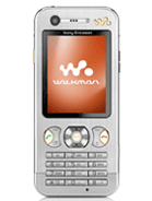 Best available price of Sony Ericsson W890 in Esn